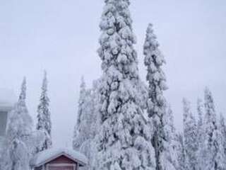 Дома для отпуска Holiday Home Ruka snow & sun 4 Рука Дом для отпуска-43