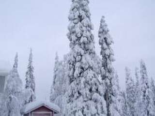 Дома для отпуска Holiday Home Ruka snow & sun 4 Рука Дом для отпуска-8